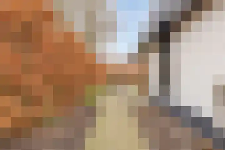 Werfstraat 5 Enter thumbnail 31