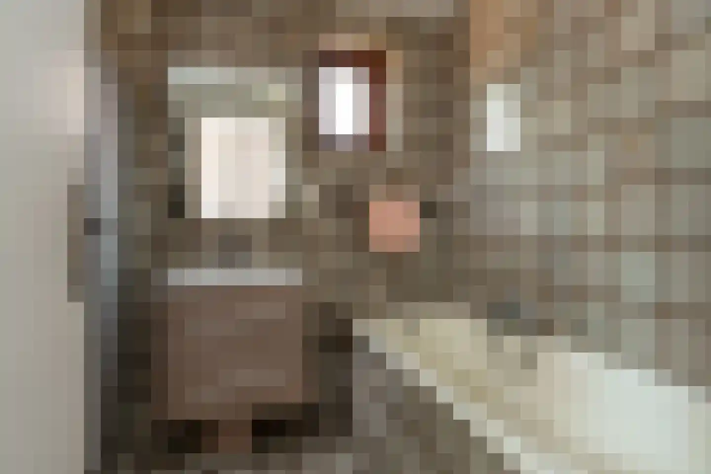 Werfstraat 5 Stadskanaal thumbnail 12