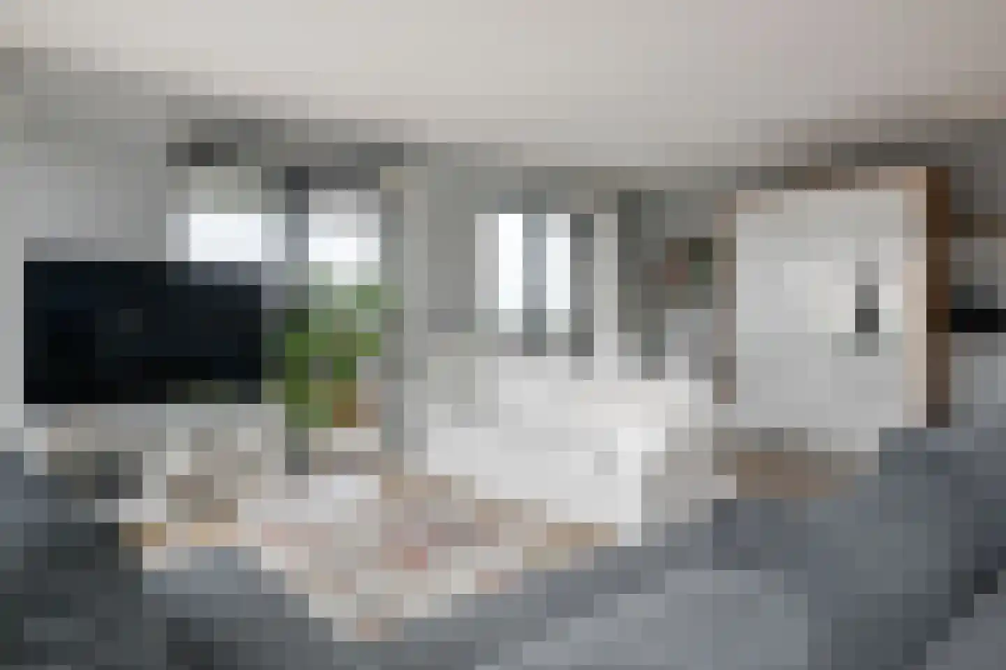 Werfstraat 52 Haarlem thumbnail 8