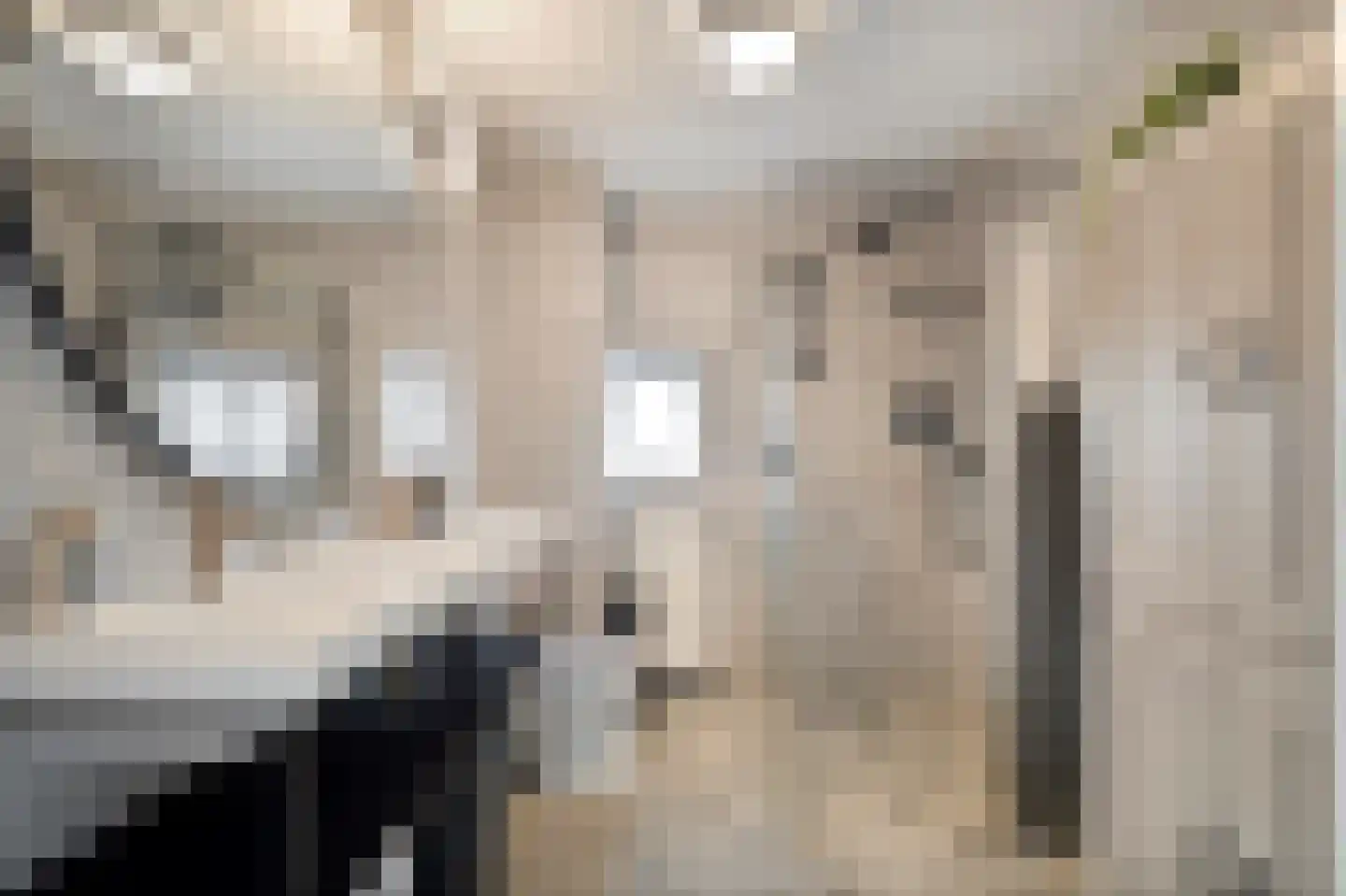 Werfstraat 66 Wieringerwerf thumbnail 31
