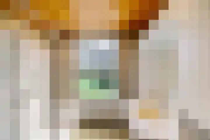 Werfstraat 8 Groningen thumbnail 17
