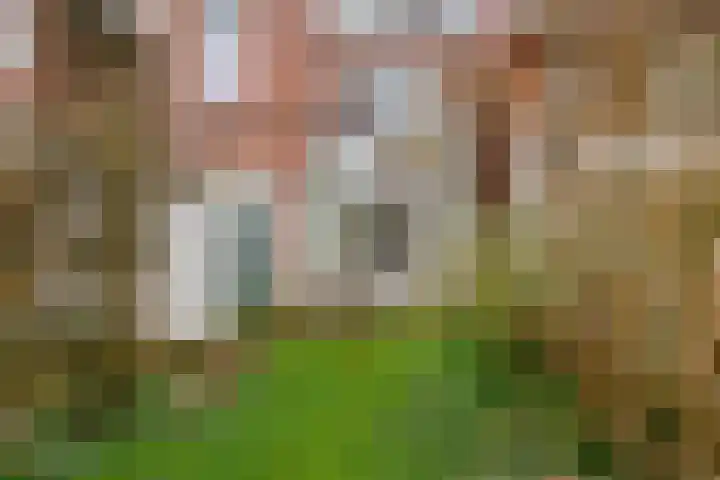 Werfstraat 8 Groningen thumbnail 36
