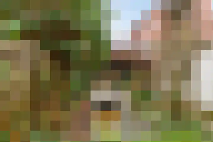 Werfstraat 8 Groningen thumbnail 37