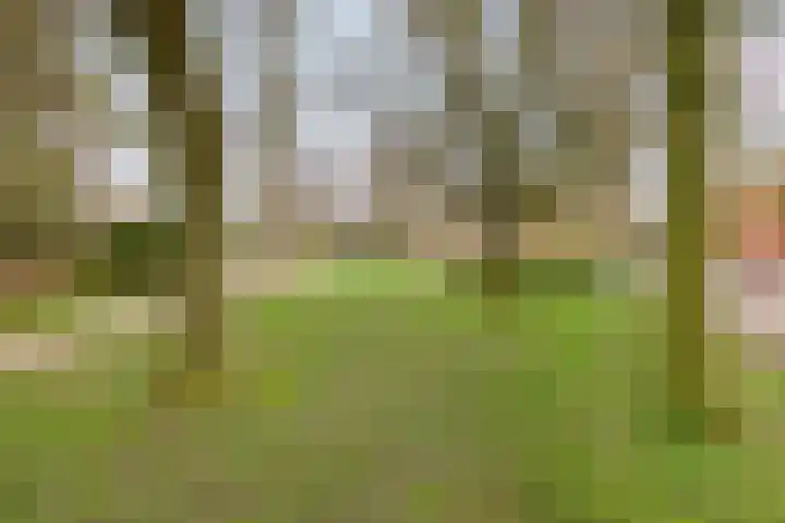 Werfstraat 8 Groningen thumbnail 38