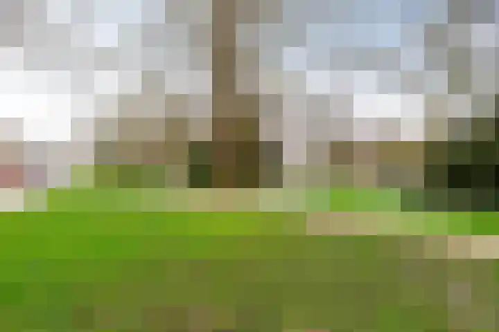 Werfstraat 8 Groningen thumbnail 39