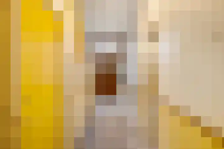 Werfstraat 8 Groningen thumbnail 4