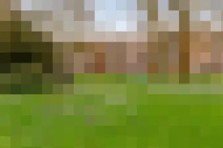 Werfstraat 8 Groningen thumbnail 41