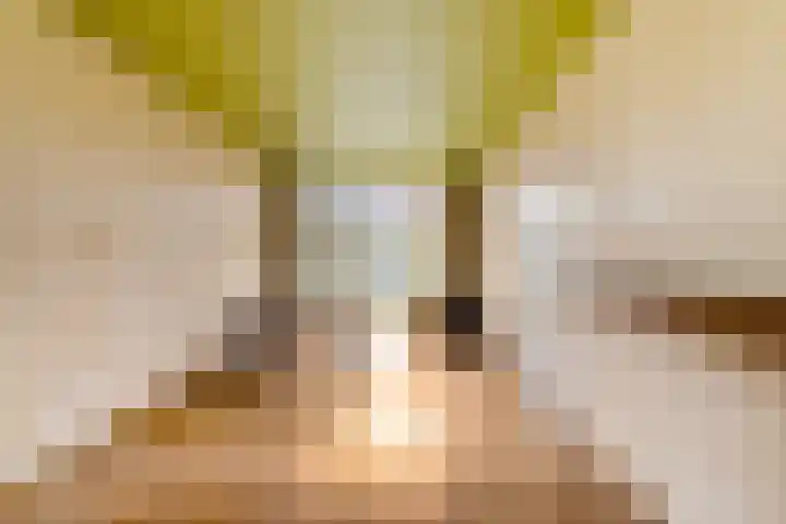 Werfstraat 8 Groningen thumbnail 9
