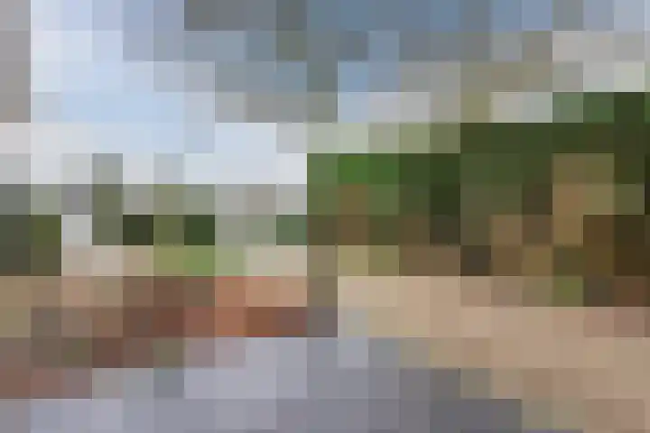 Werfweg 19 Lelystad thumbnail 12