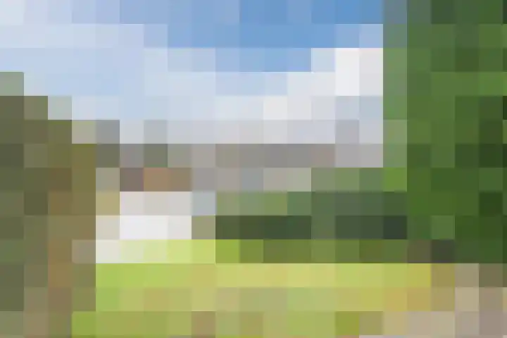 Werfweg 19 Lelystad thumbnail 13