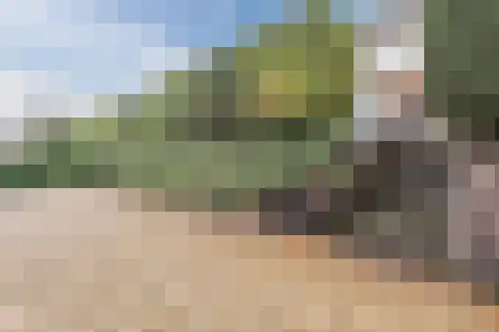 Werfweg 19 Lelystad thumbnail 14