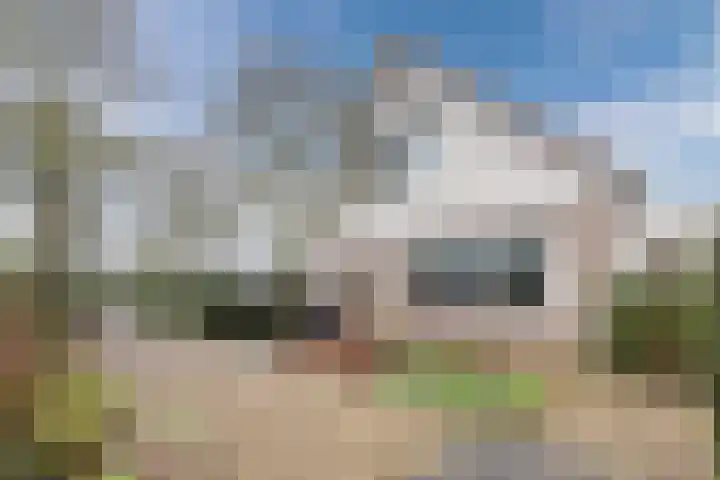 Werfweg 19 Lelystad thumbnail 16