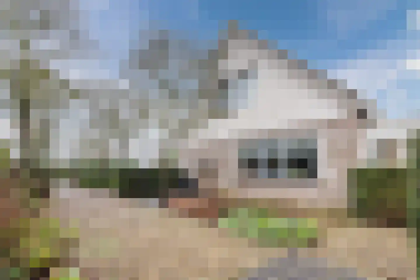 Werfweg 19 Lelystad thumbnail 16