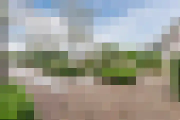 Werfweg 19 Lelystad thumbnail 17