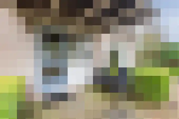 Werfweg 19 Lelystad thumbnail 19