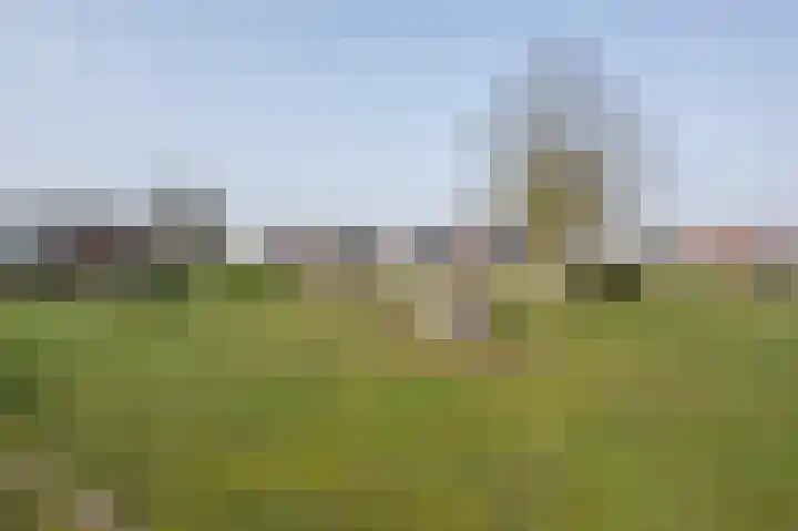 Werfweg 19 Lelystad thumbnail 39