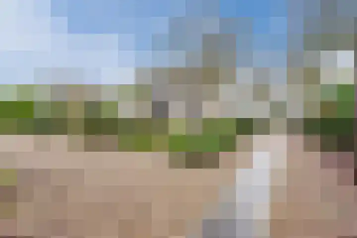 Werfweg 19 Lelystad thumbnail 5