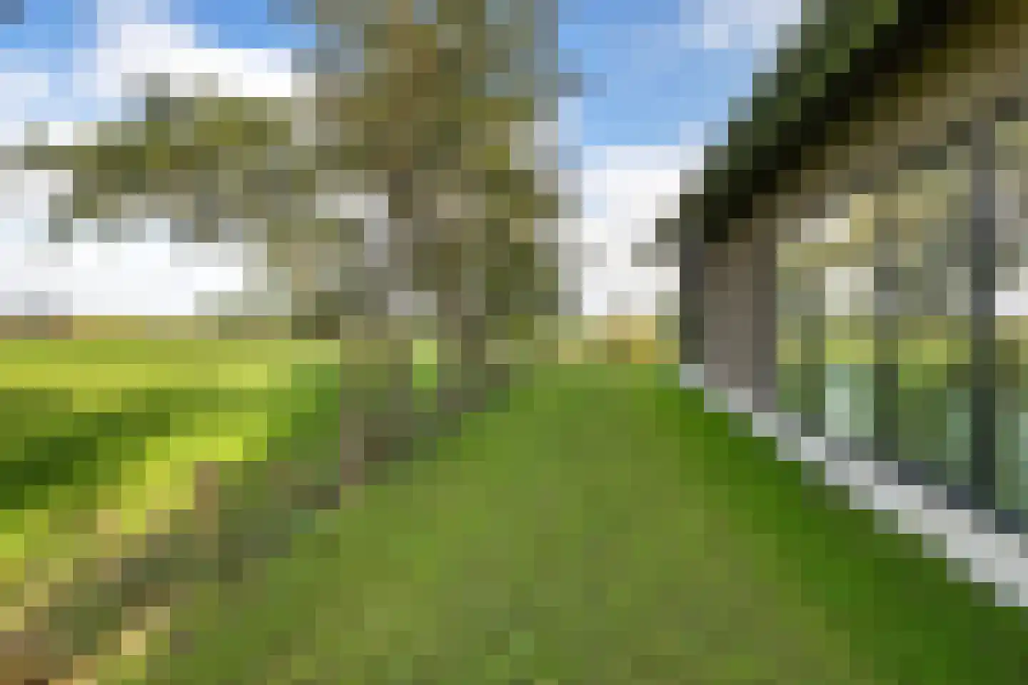 Wergeasterdyk 41 Leeuwarden thumbnail 34