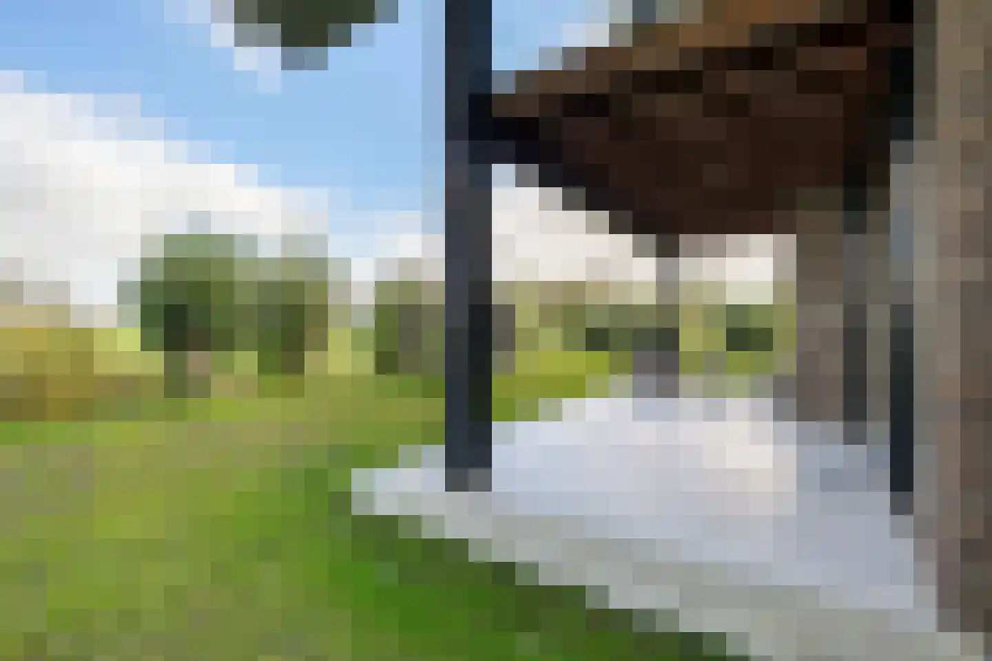 Wergeasterdyk 41 Leeuwarden thumbnail 36