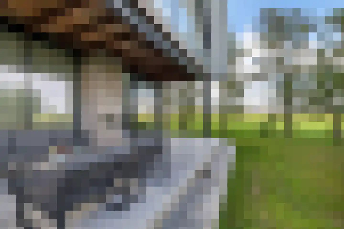 Wergeasterdyk 41 Leeuwarden thumbnail 38