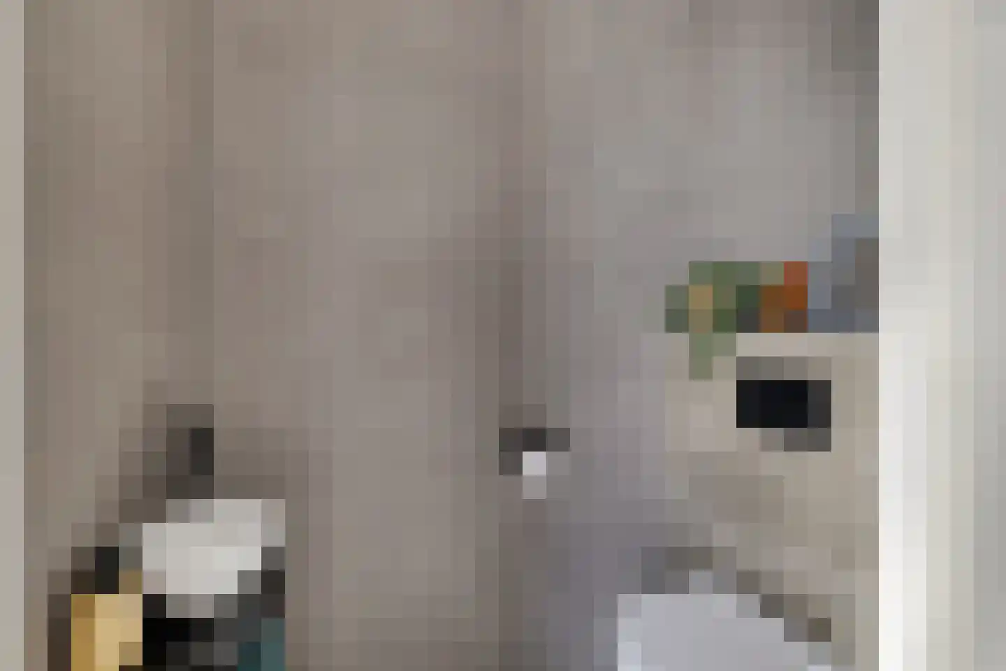 Wergeasterdyk 41 Leeuwarden thumbnail 41