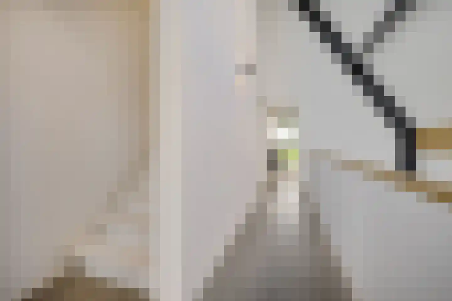 Wergeasterdyk 41 Leeuwarden thumbnail 44