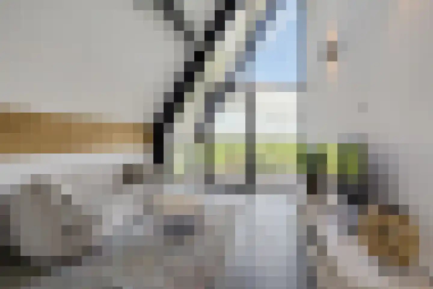Wergeasterdyk 41 Leeuwarden thumbnail 45