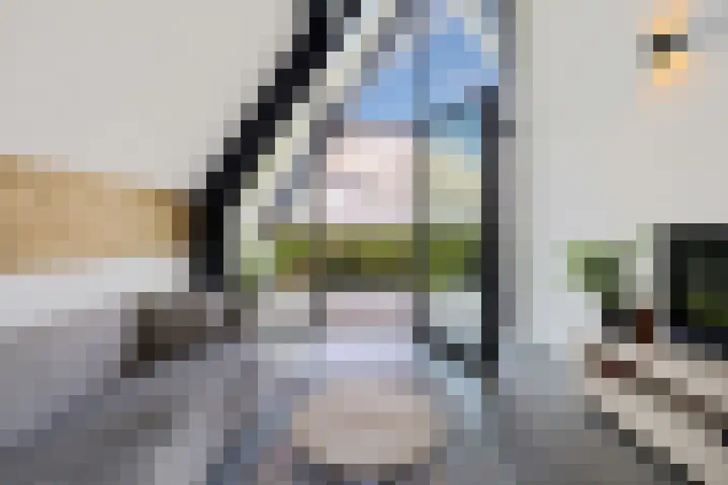 Wergeasterdyk 41 Leeuwarden thumbnail 46
