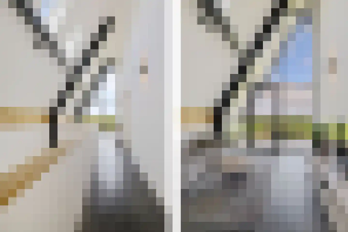 Wergeasterdyk 41 Leeuwarden thumbnail 47
