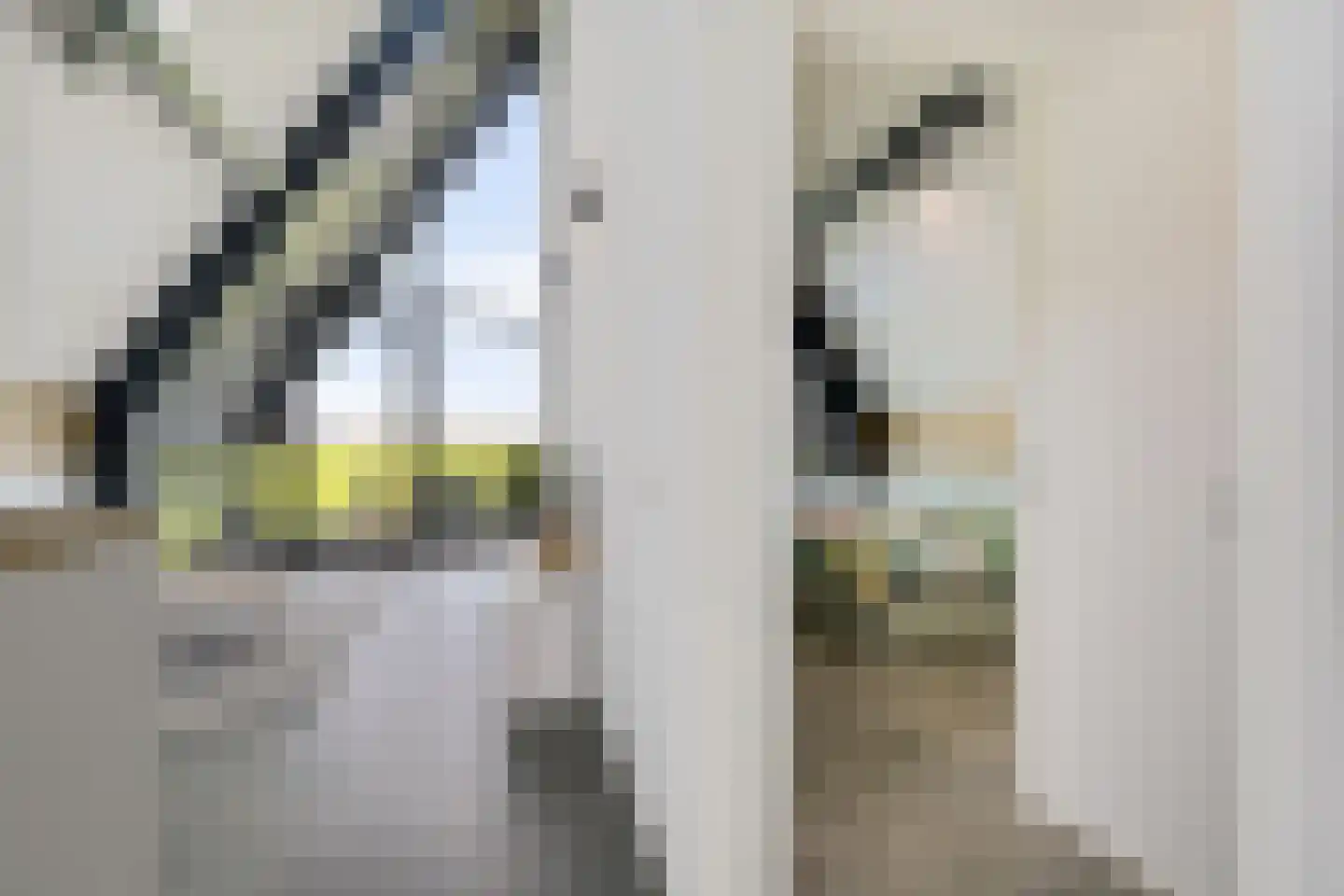 Wergeasterdyk 41 Leeuwarden thumbnail 48