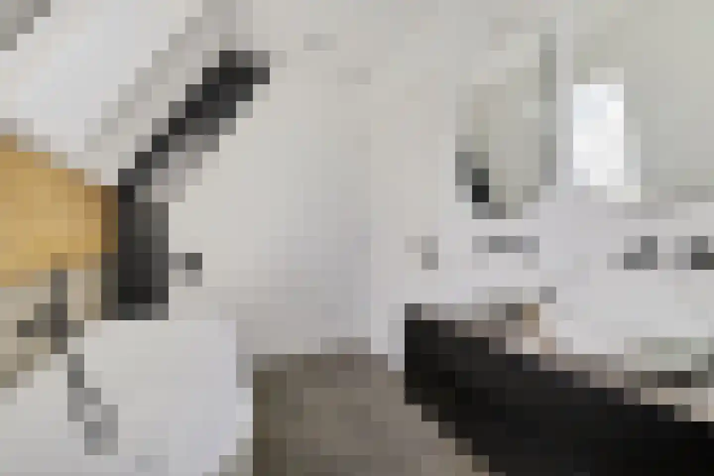 Wergeasterdyk 41 Leeuwarden thumbnail 54