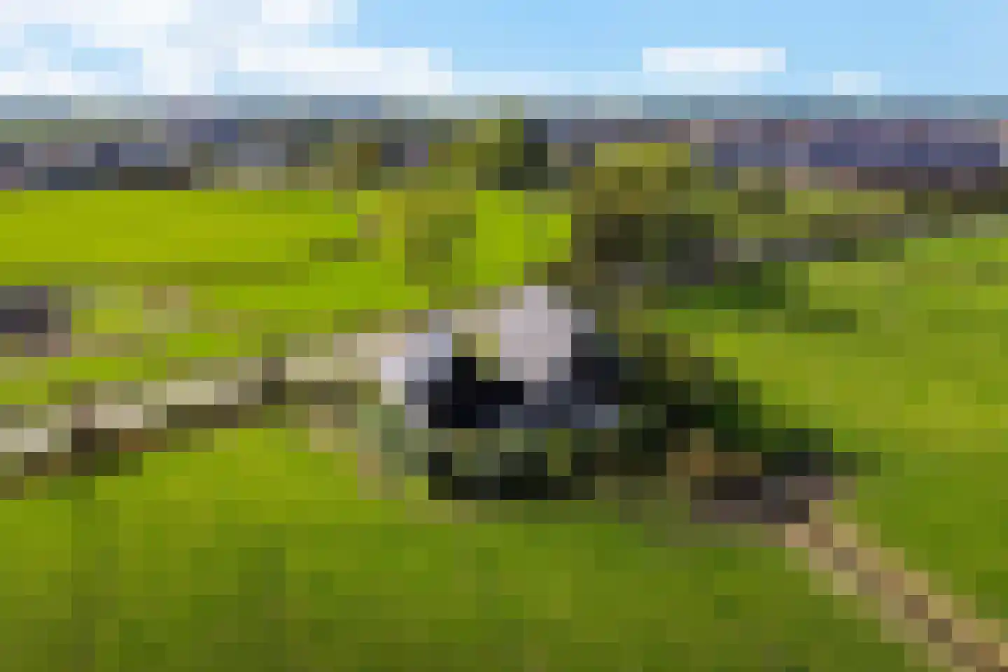 Wergeasterdyk 41 Leeuwarden thumbnail 62
