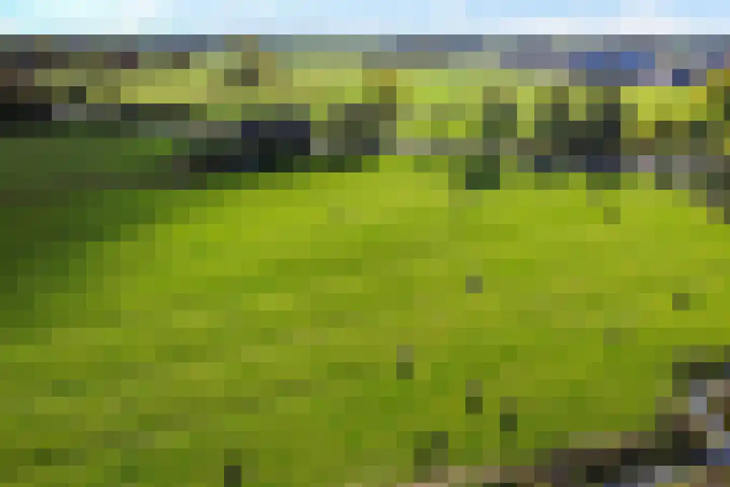 Wergeasterdyk 41 Leeuwarden thumbnail 64