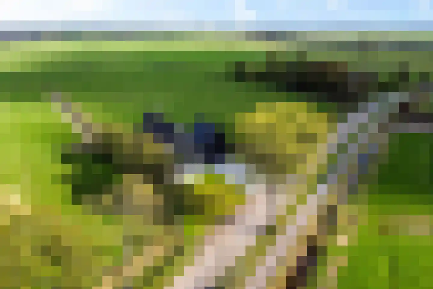 Wergeasterdyk 41 Leeuwarden thumbnail 65