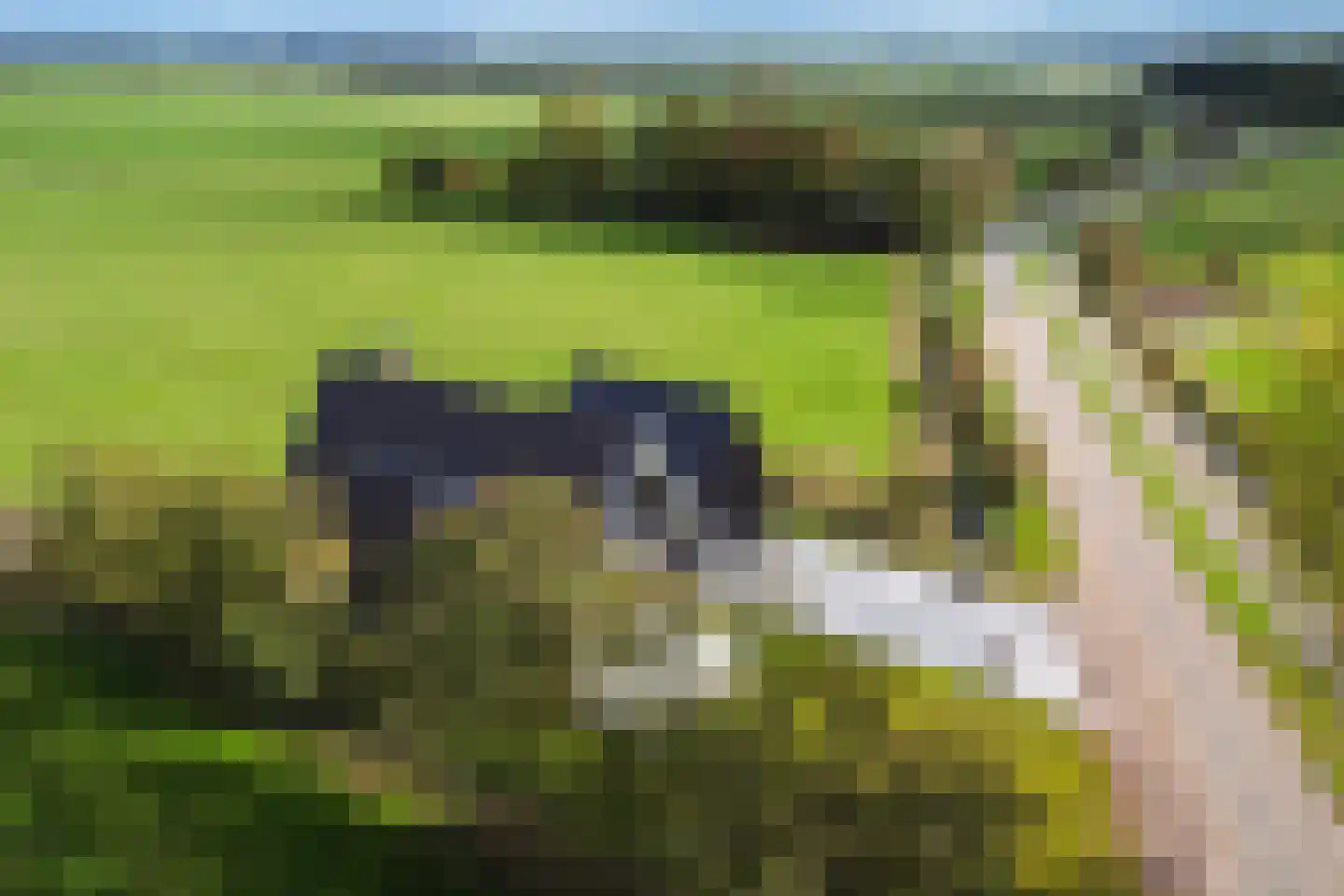 Wergeasterdyk 41 Leeuwarden thumbnail 66
