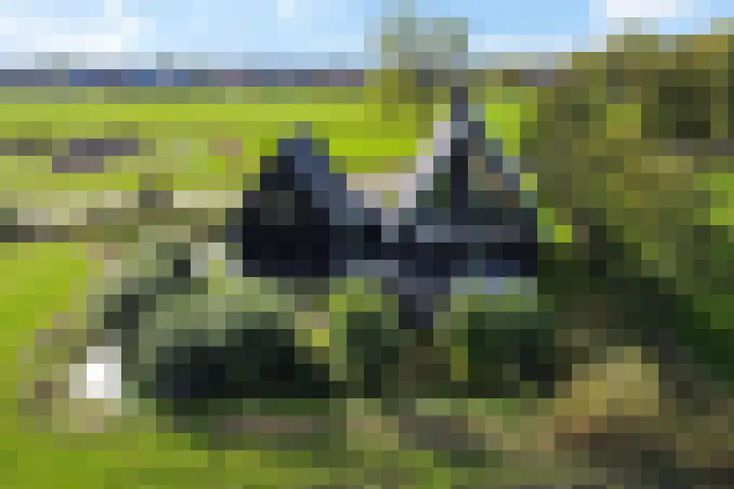 Wergeasterdyk 41 Leeuwarden thumbnail 67