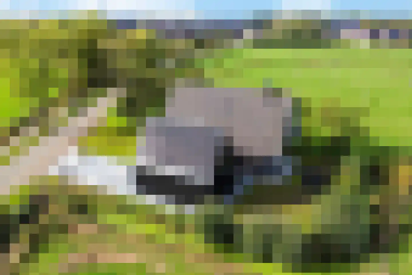 Wergeasterdyk 41 Leeuwarden thumbnail 68