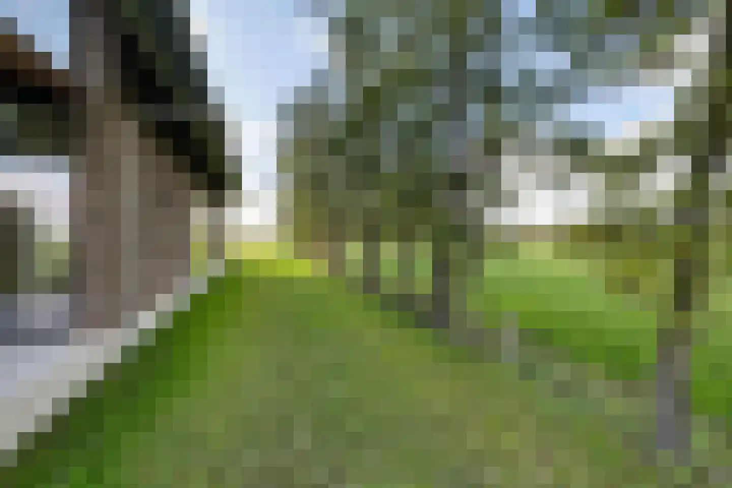 Wergeasterdyk 41 Leeuwarden thumbnail 8