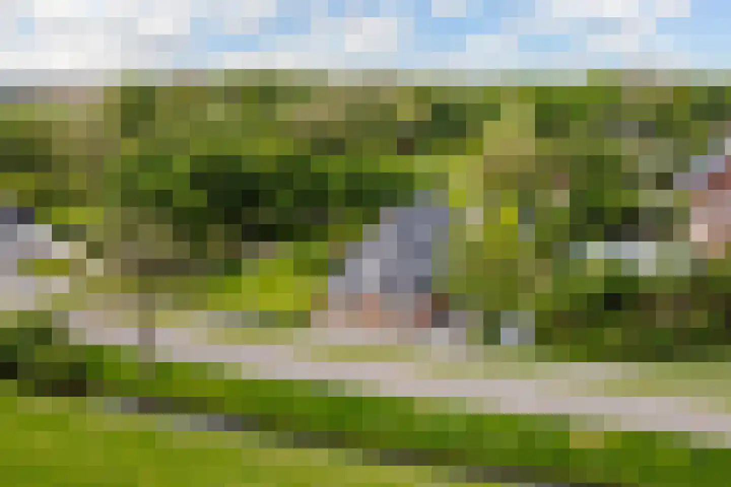 Wergeasterdyk 44 Goutum
