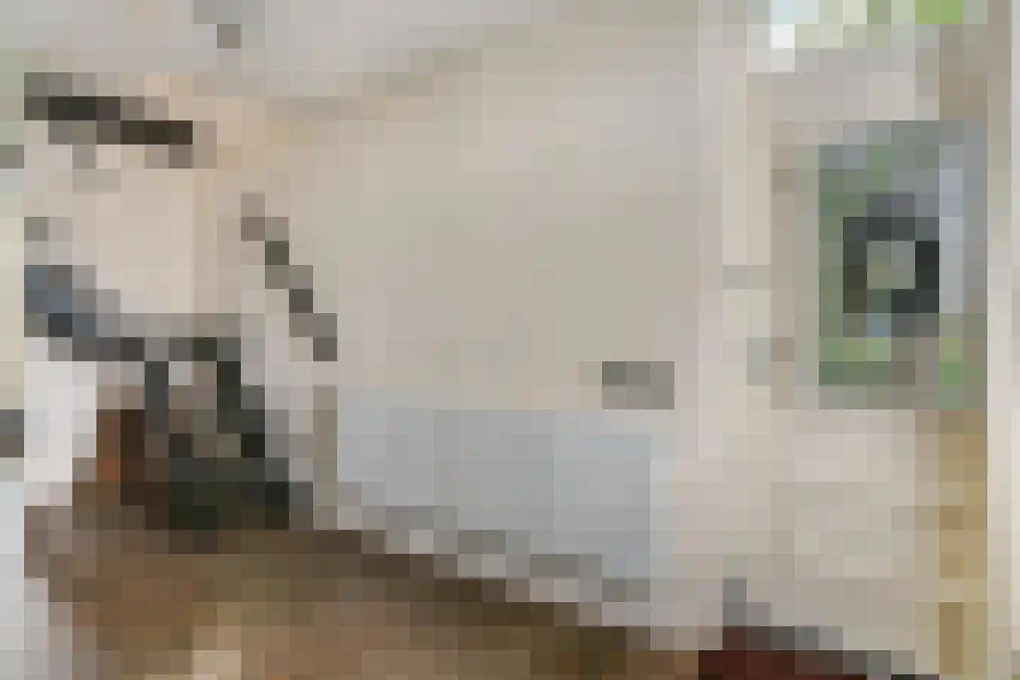 Wergeasterdyk 44 Goutum thumbnail 14