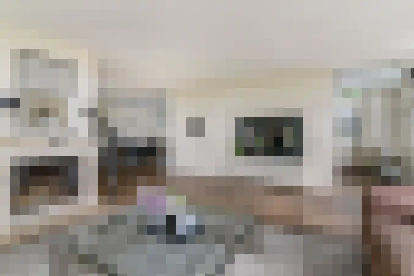 Wergeasterdyk 44 Goutum thumbnail 17