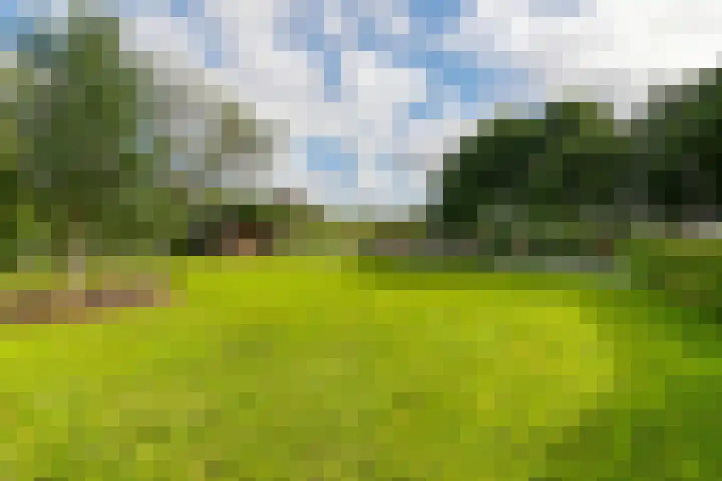 Wergeasterdyk 44 Goutum thumbnail 26