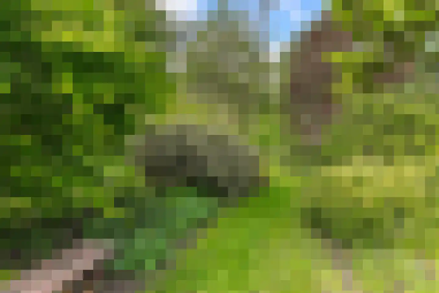 Wergeasterdyk 44 Goutum thumbnail 27