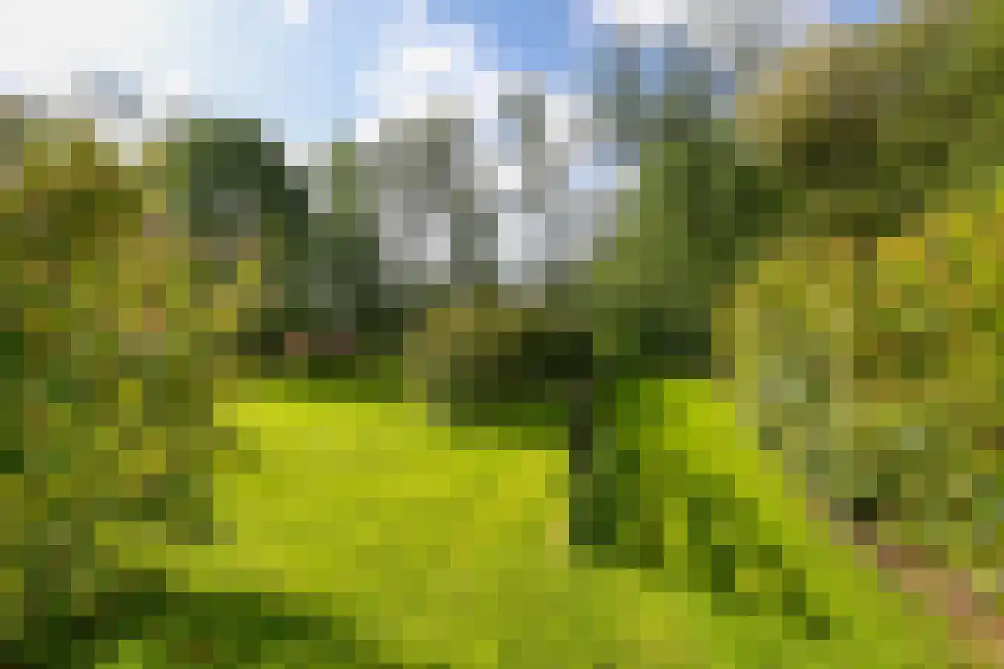 Wergeasterdyk 44 Goutum thumbnail 28