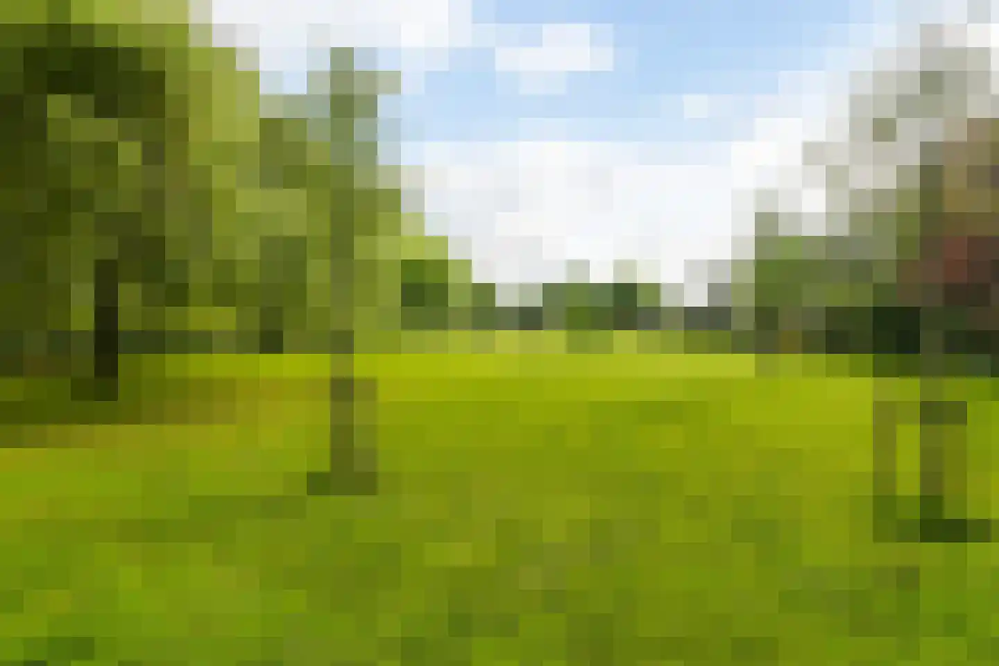 Wergeasterdyk 44 Goutum thumbnail 29