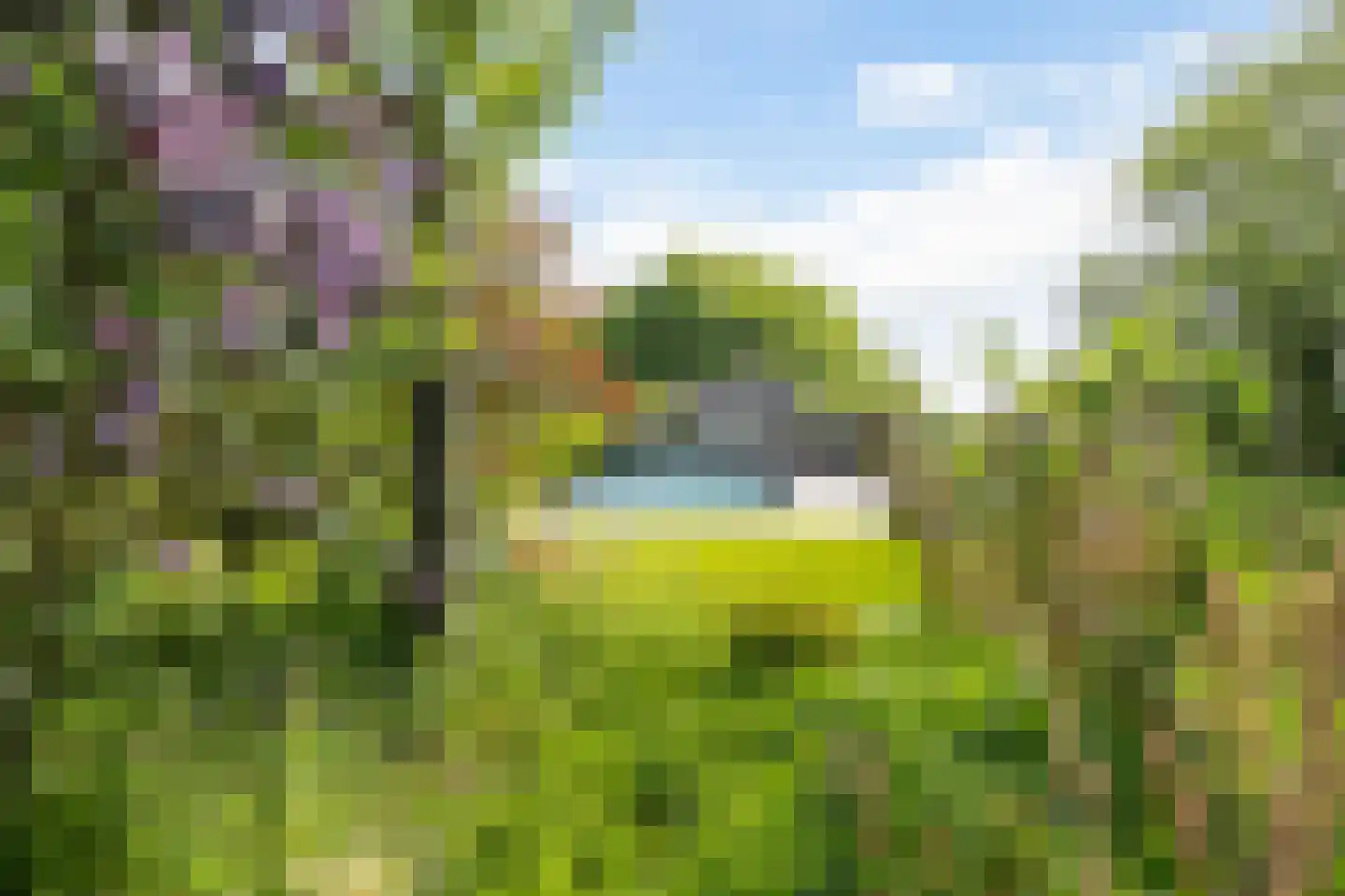Wergeasterdyk 44 Goutum thumbnail 30