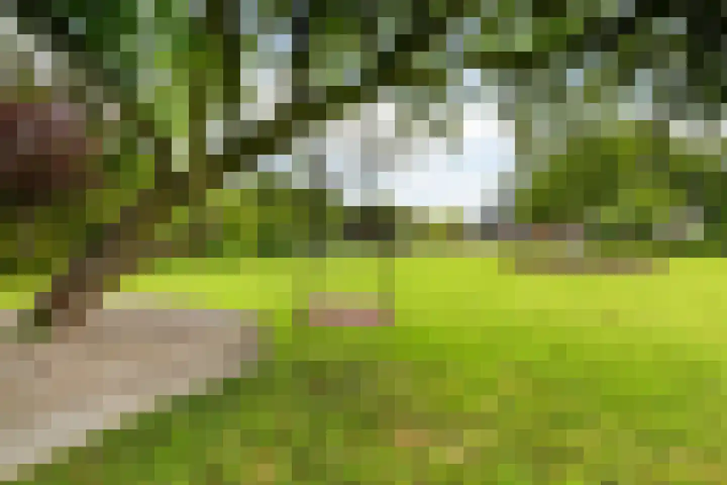 Wergeasterdyk 44 Goutum thumbnail 32
