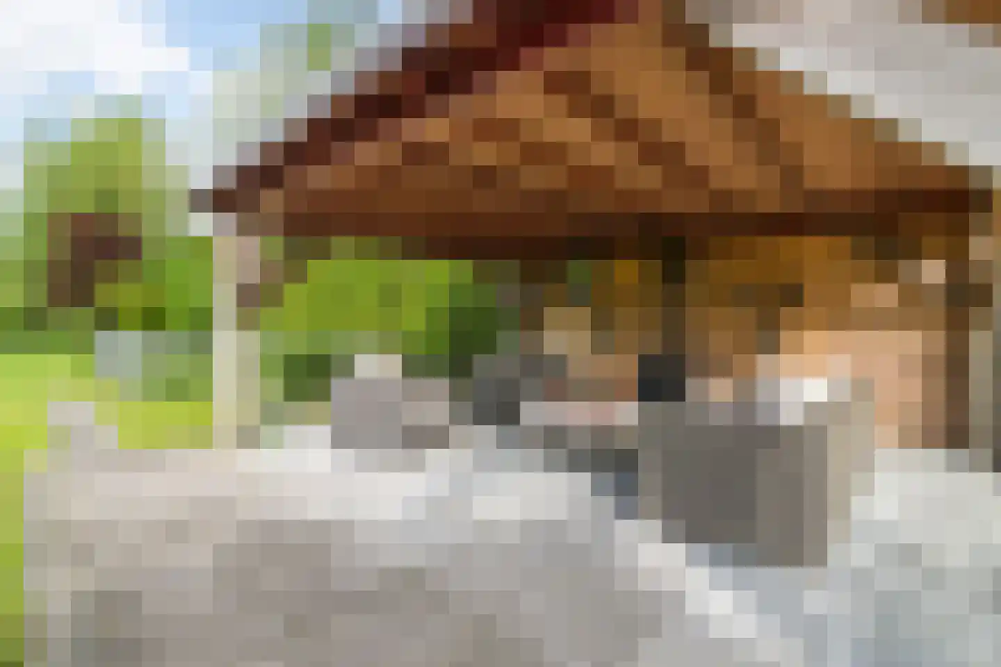 Wergeasterdyk 44 Goutum thumbnail 34