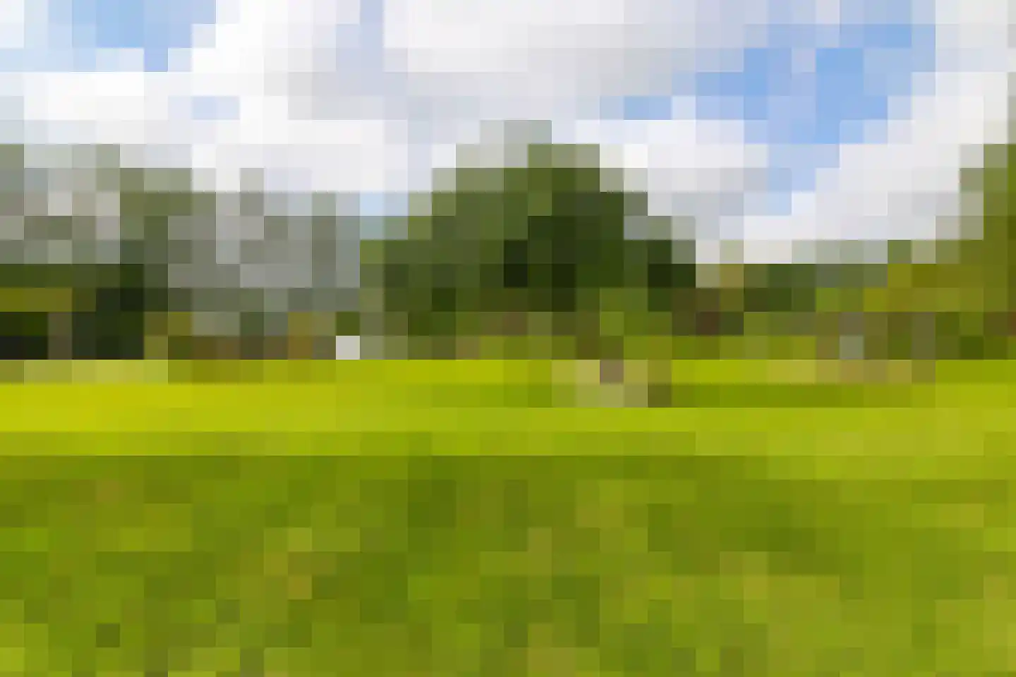 Wergeasterdyk 44 Goutum thumbnail 35