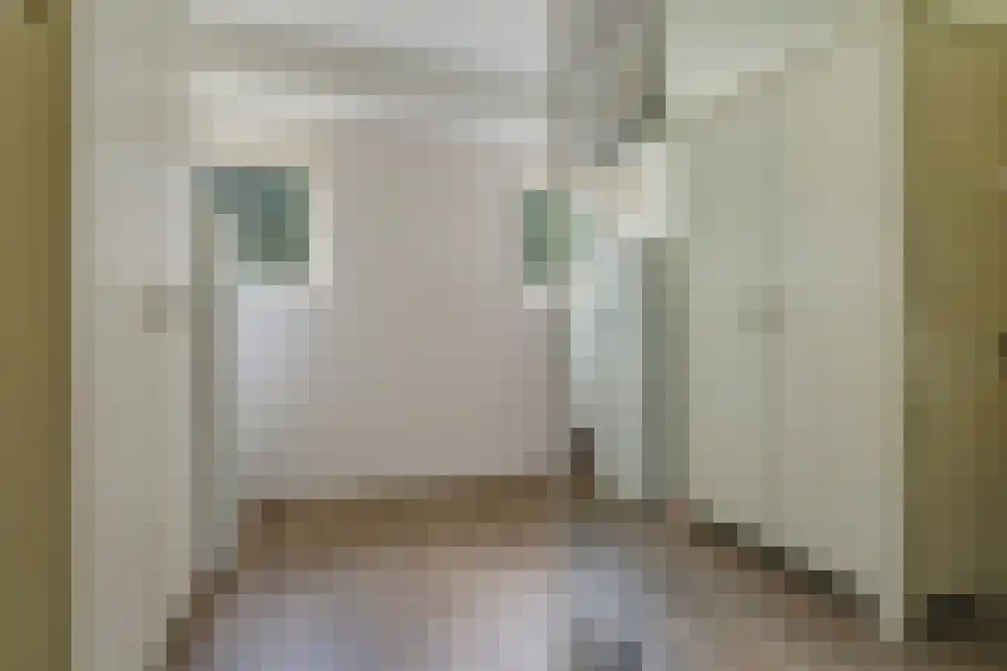 Wergeasterdyk 44 Goutum thumbnail 37